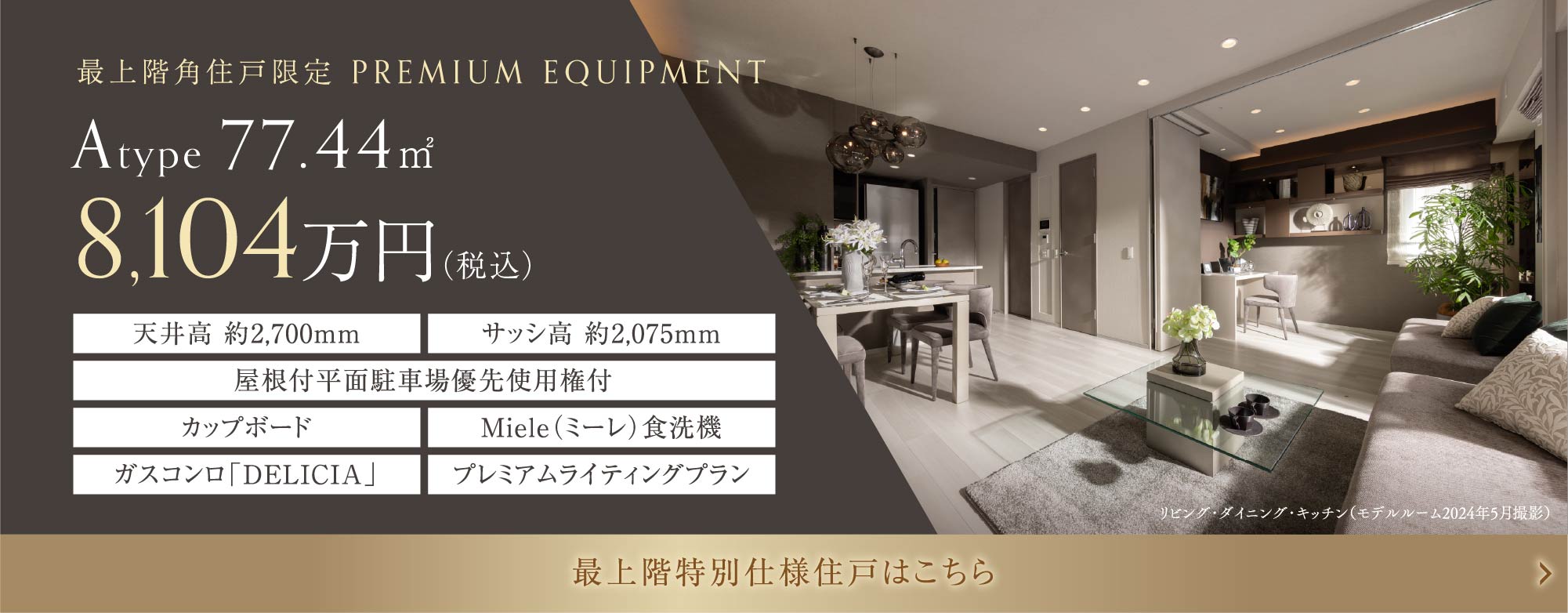 PREMIUM PLAN