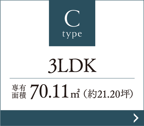 Cタイプ