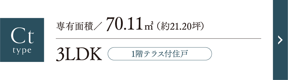 Ctタイプ