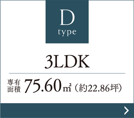 Dタイプ
