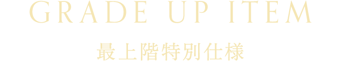 GRADE UP ITEM