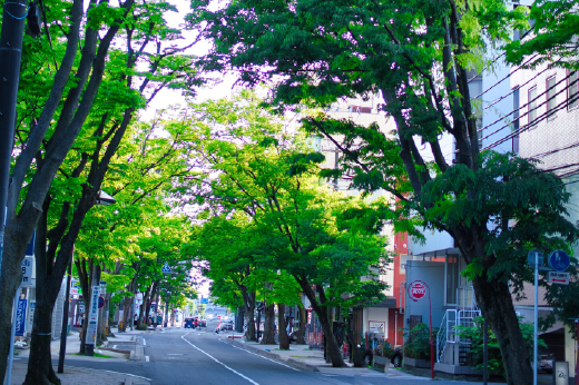 新潟市役所