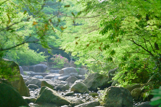 新潟県立鳥屋野潟公園